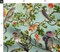 Vintage Birds Falcon Hawk Watercolor Chinoiserie Antiqued Of Prey Blue Green Botanical Custom Printed Fabric by Spoonflower Various Fabrics by the Yard or Fat Quarter